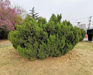 玉泉路地铁1号线 · 高能所 ·南北通透三居·中间楼层