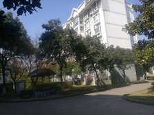 顶楼复式前后露台步梯房