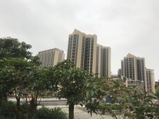 湖心路单身公寓精装修保养好业主诚心出售看房方便