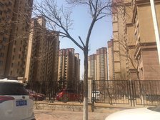 大阳台 视野宽阔 采光充足 配套设施齐全 交通便利