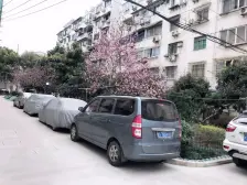 双南两方带正规厅,看房方便,出门地铁口14,15号线
