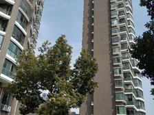 惠南地铁站50米,精装顶楼复式,置换诚心出售,随时看