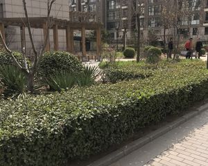 鼎盛容郡 电梯小洋房 带车位和地下室 诚心出售