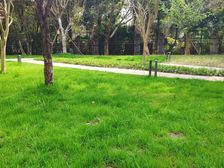 玺龙湾 5室2厅 西北