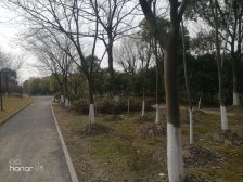 宾根花园、得房率高、采光充足、精装修、一梯两户