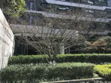 近地铁,中间楼层,电梯房,新上房源