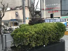 店长推荐 原始房型方便设计改造 麻雀虽小五脏俱全