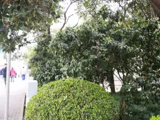 未来地铁口+3房+电梯房+随时看拎包入住,配盘齐全