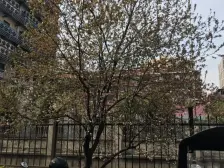 阳光大厦(普陀) 3室2厅 南