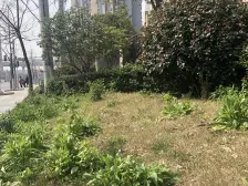 南翔·绿洲古猗新苑(二期)·2室·2厅