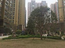 星光华印象3室2厅南