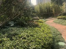 产权清晰采光好通风好新上房源