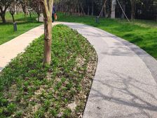 玺龙湾 3室2厅 南