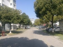 安亭·泰东公寓·5室·2厅