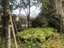 精装,2梯3户,电梯房,新上房源