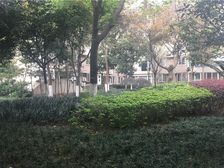 家益锦华苑 3室1厅 东南