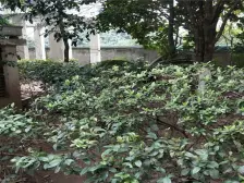 兴欣佳园 2室1厅 东南