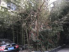 全明户型推荐楼层高视野好麻雀虽小五脏俱全