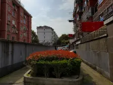 此房满五税少,自住装修 业主置换诚意出售,视野好