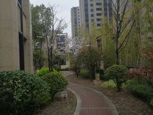 2020年次新高品质小区,东华刚需正两房