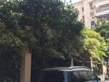 虹口区凉城水电小区1室1厅,电梯房,近大柏树