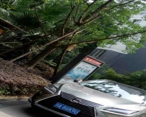 雅逸居2室1厅东南