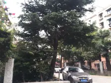 停车方便,诚意出售,19号线地铁口在建,精装修