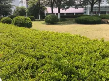 嘉定竹园小区2室南朝向200.00万元/套出售