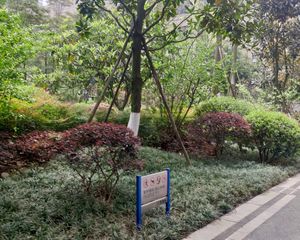 德坤新天地 1室1厅 东南