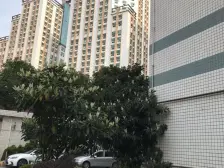 全明户型,生活配套齐全,小区位置优,随时看房
