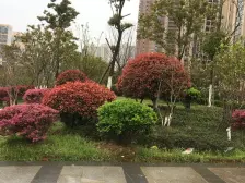 比邻珠市户型通透,采光充足,视野旷阔,交通出行便利