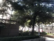 视野号高区看的到 操场。通风和采光没问题