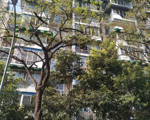 武侯南苑 2室2厅 东北