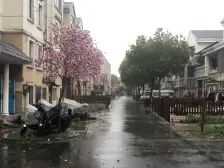 莘闵 · 雅鹿新苑二期 · 2室 · 2厅