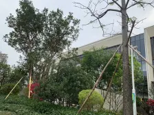 南北对流 前后有花园 透光玻璃地下两层