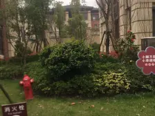 新上好房 第二排中间楼层 业主诚意出售 看房方便