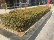 万达广场金街一居通厅价格公道精装价格美丽