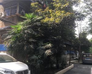 桃源社区二号院2室1厅东南