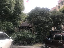 近地铁,精装现场实勘,中间楼层必看好房