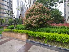 汇豪时代简单装修三房户型好