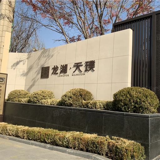 龙湖天璞2室1厅1卫南北朝向4300.00元/月出租