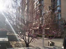 大兴其它·盛嘉华苑·2室·2厅
