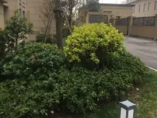 新上好房 第二排中间楼层 业主诚意出售 看房方便