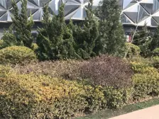 高新园万达一室敞开式户型,地理位置好