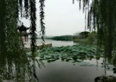 谭兴培公园7