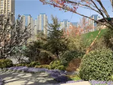 龙湖东港非填海地段位置小区中间中叠户型采光视野好