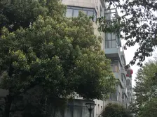 环境优美,品质小区,精装修,精装好房