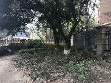 置信丽都花园A区4室2厅东南西北