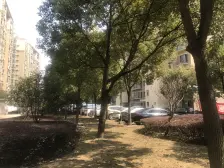 桃浦·新杨和苑·1室·1厅