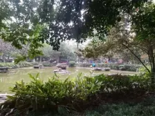 半山壹号,大平层电梯洋房,4房2卫,一梯2户,轻轨旁